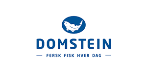 Domstein
